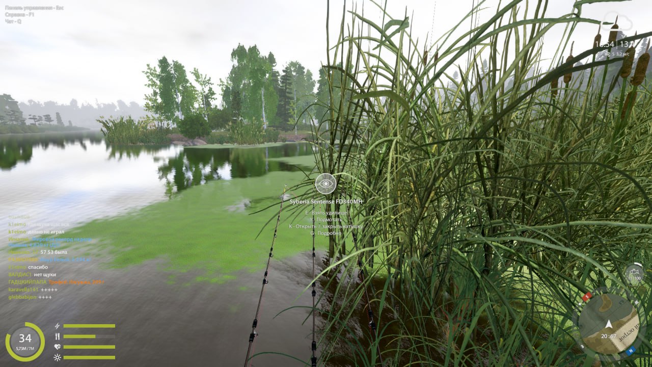 Улов (Амур белый) на #трофей_rf4map в RF4