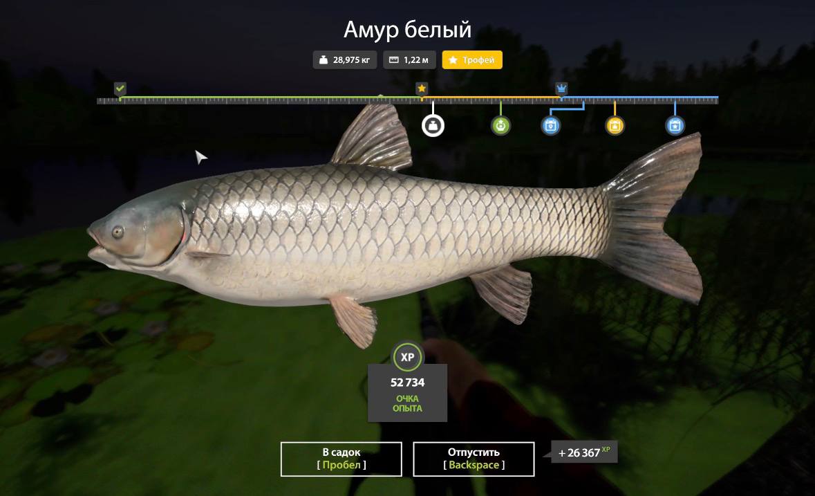 Улов (Амур белый) на #трофей_rf4map в RF4