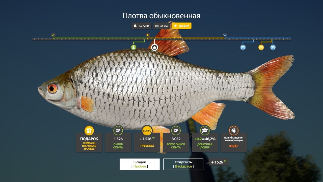 Улов (Плотва обыкновенная) на #трофей_rf4map в RF4