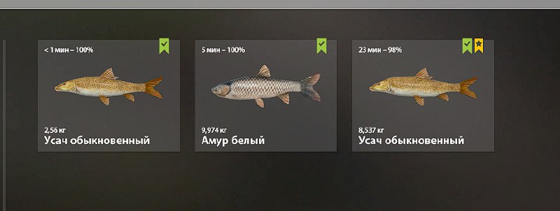 Улов (Усач обыкновенный) на #трофей_rf4map в RF4