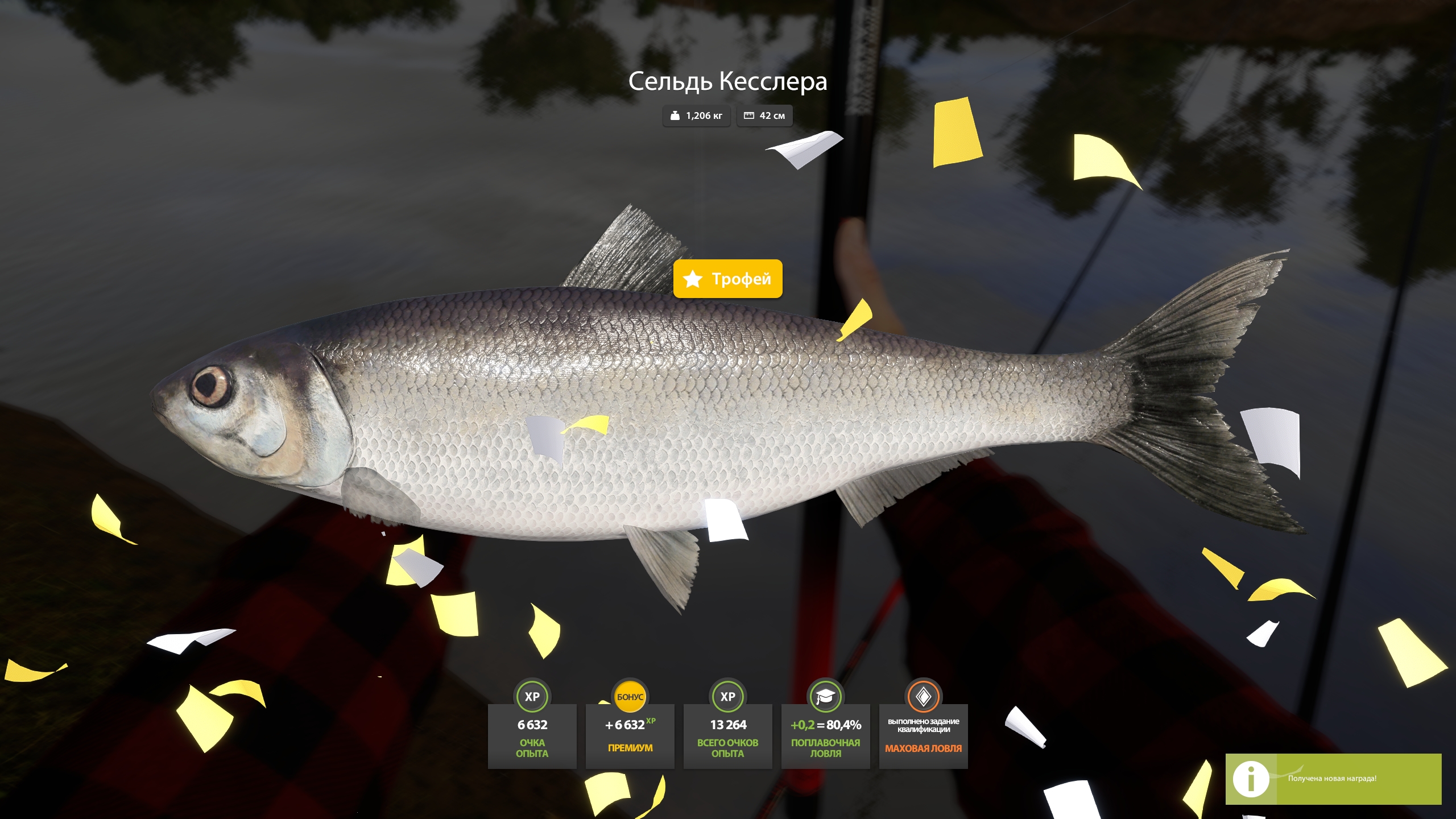Улов (Сельдь Кесслера) на #трофей_rf4map в RF4
