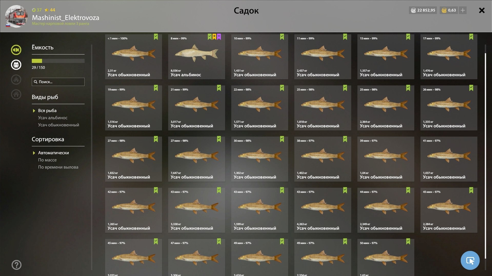 Улов (Усач альбинос) на #трофей_rf4map в RF4