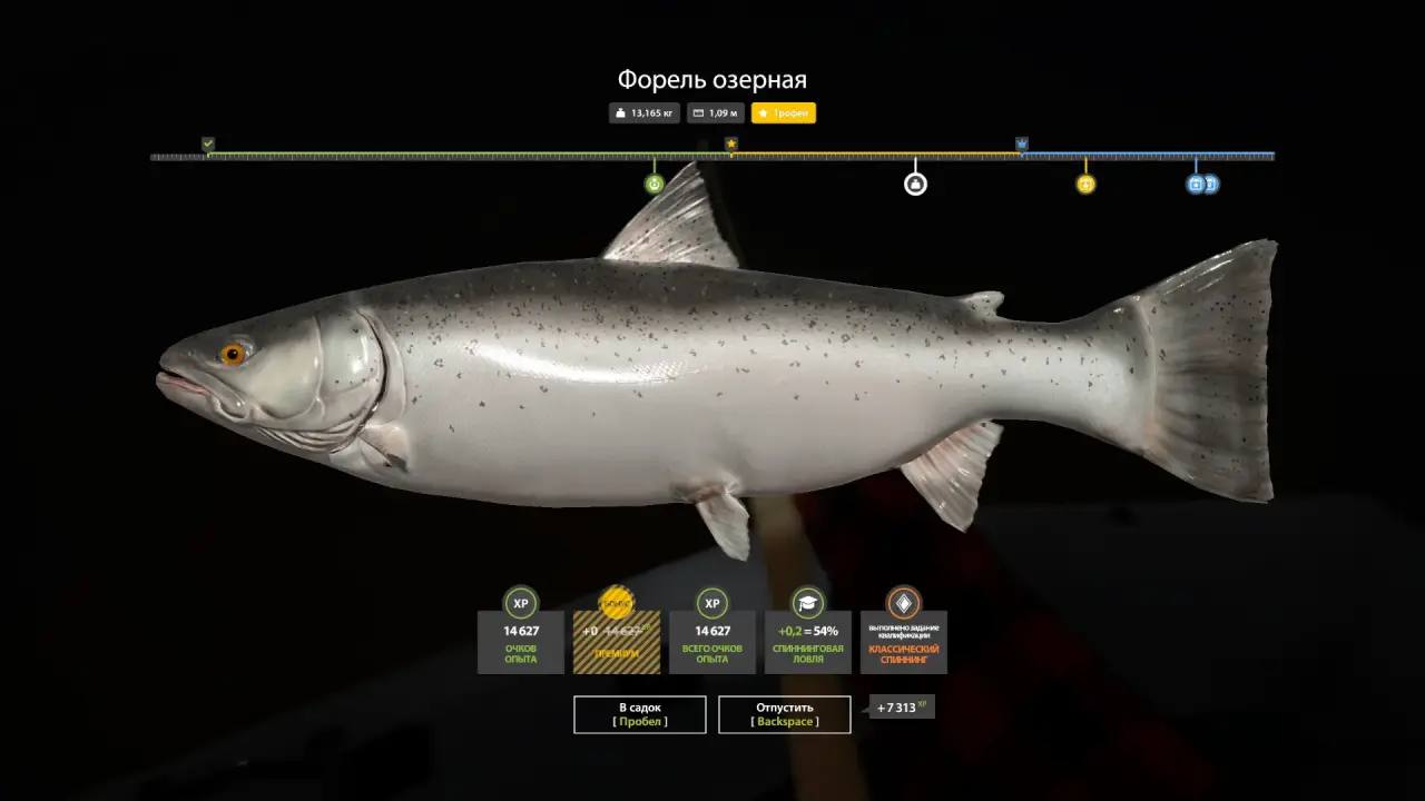 Улов (Форель озерная) на #трофей_rf4map в RF4