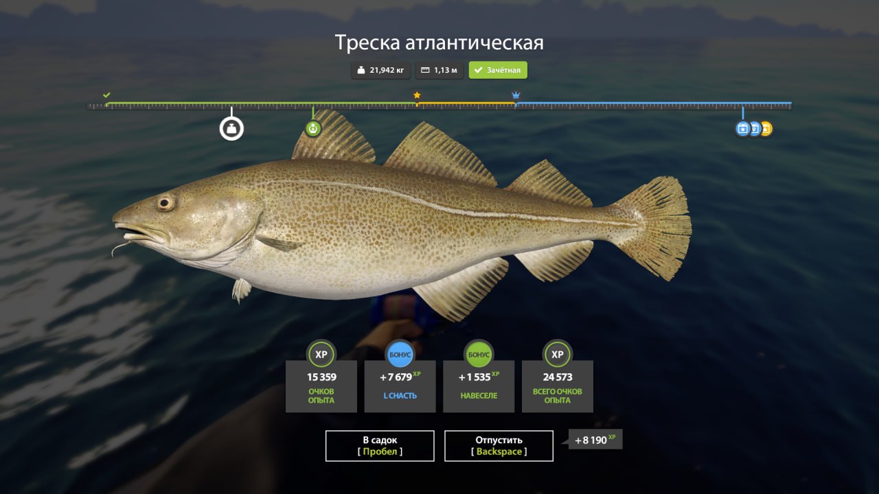 Улов (Разнорыбица) на #фарм_rf4map в RF4