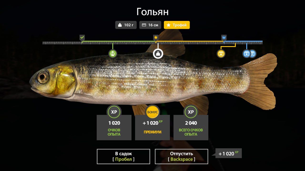 Улов (Гольян) на #трофей_rf4map в RF4