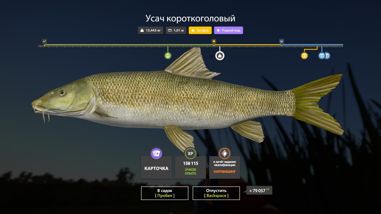 Фото точки