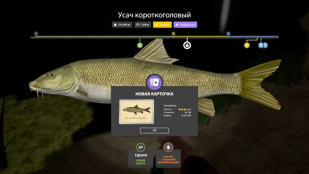 Фото точки