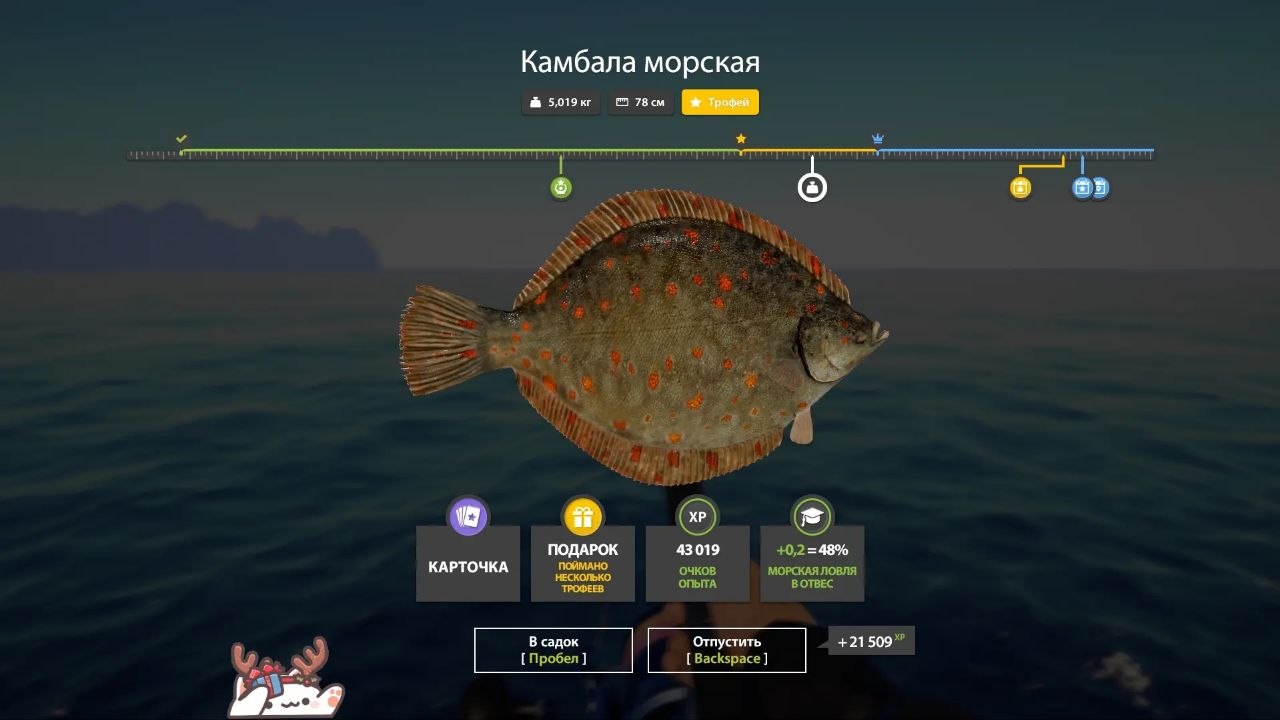 Фото точки