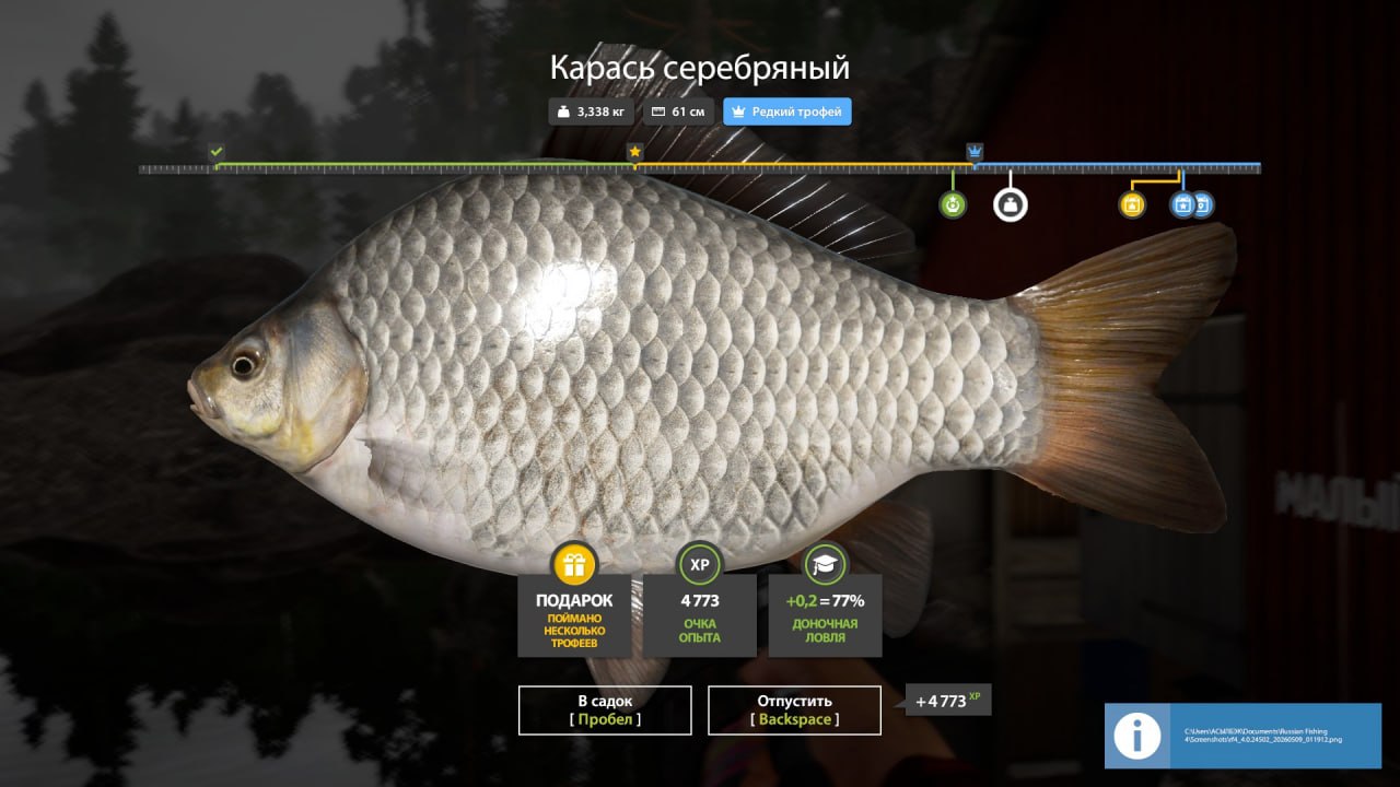 Фото точки