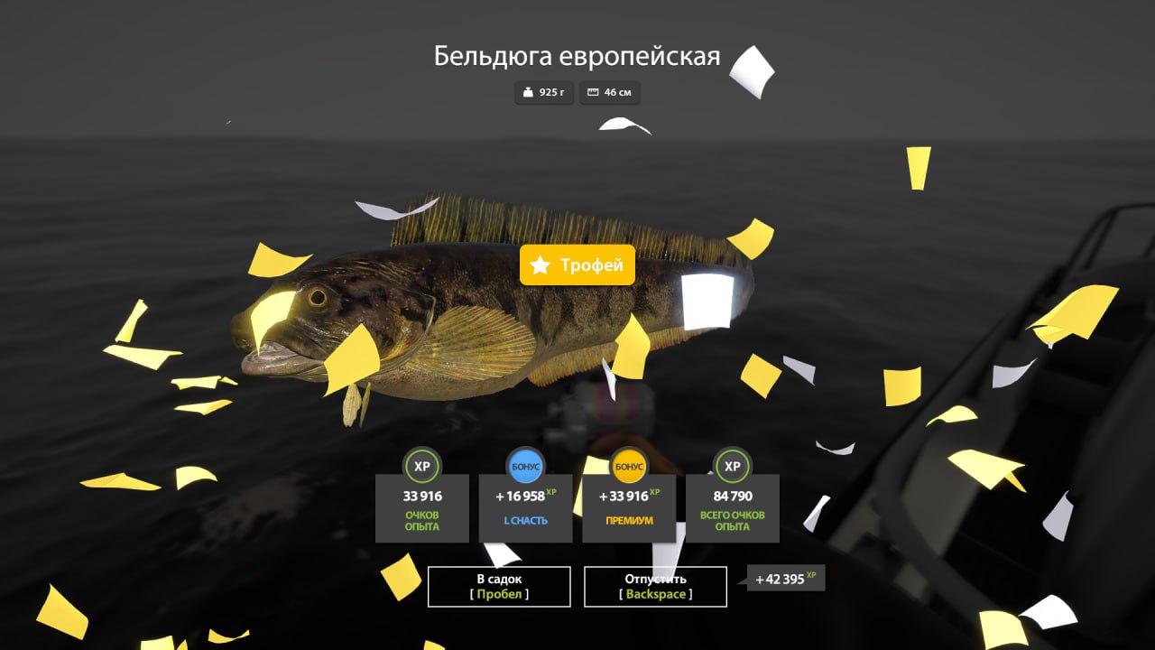 Фото точки