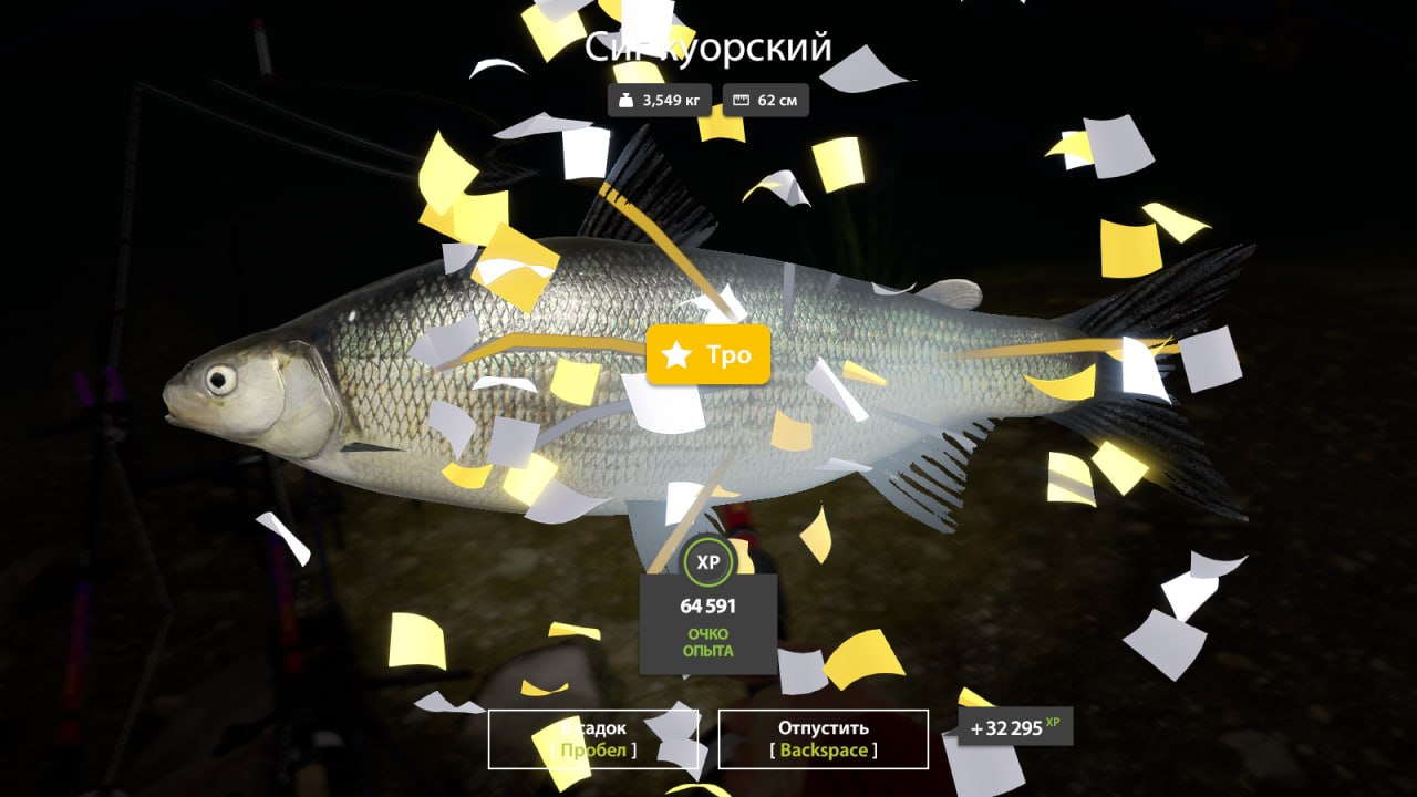 Фото точки
