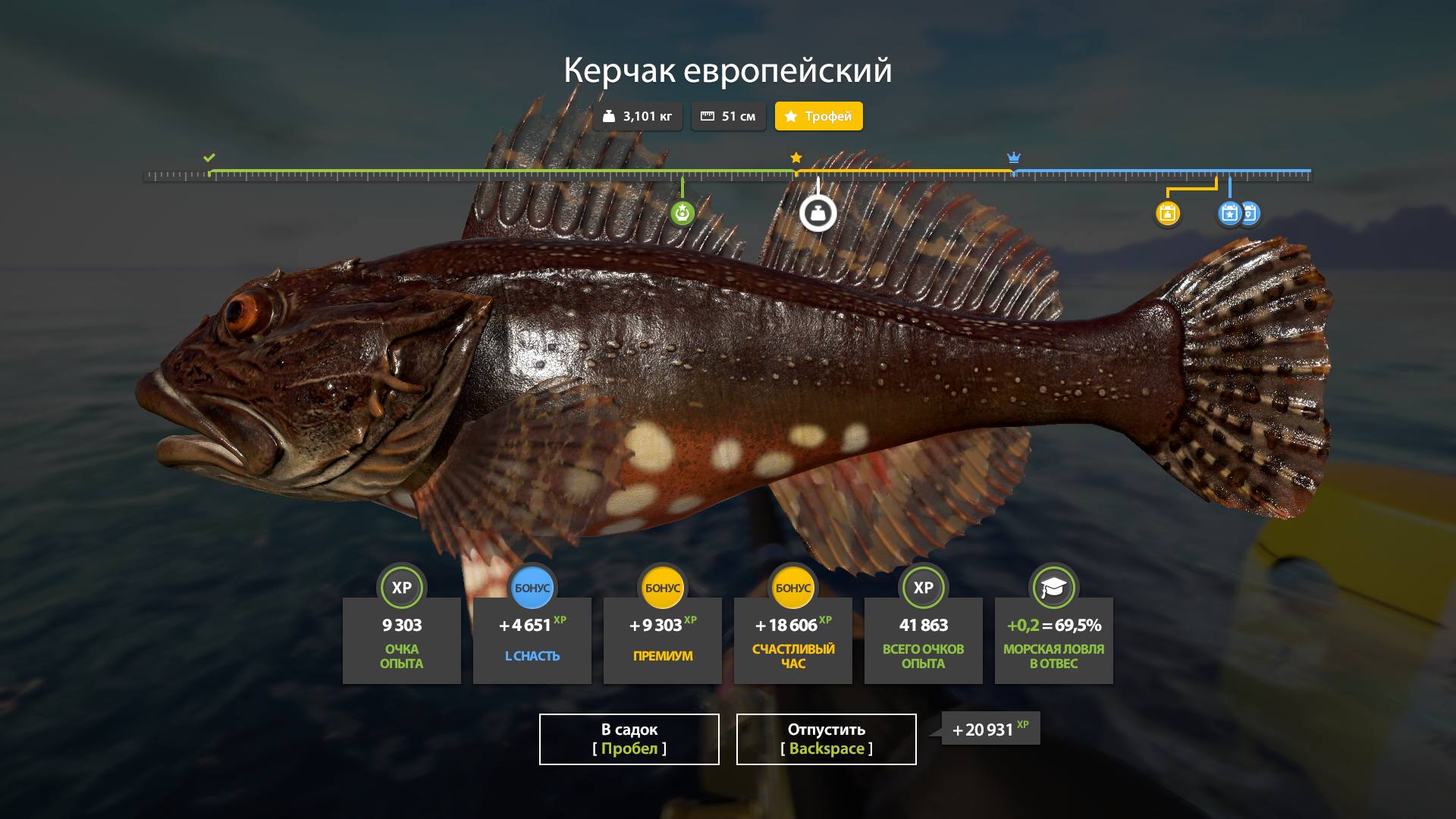 Фото точки