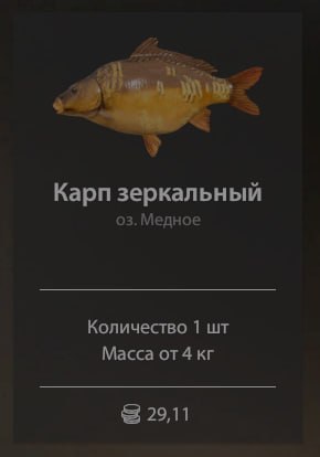 Фото точки
