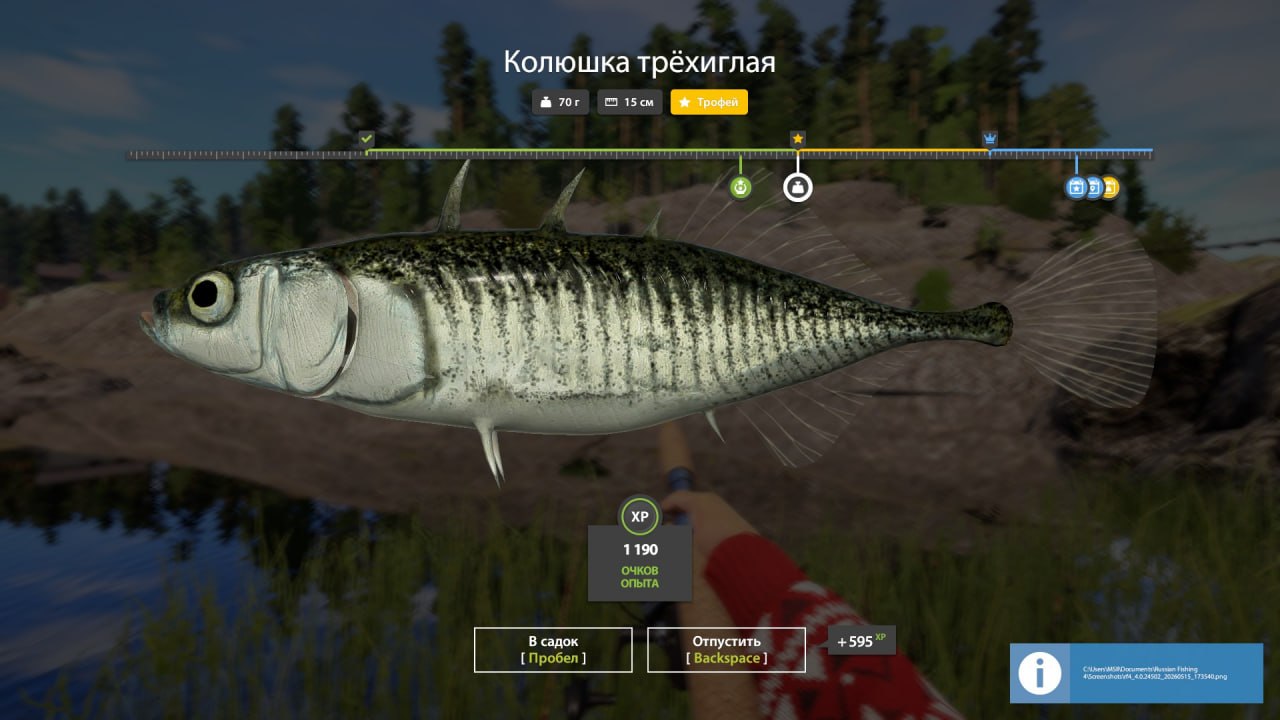 Фото точки