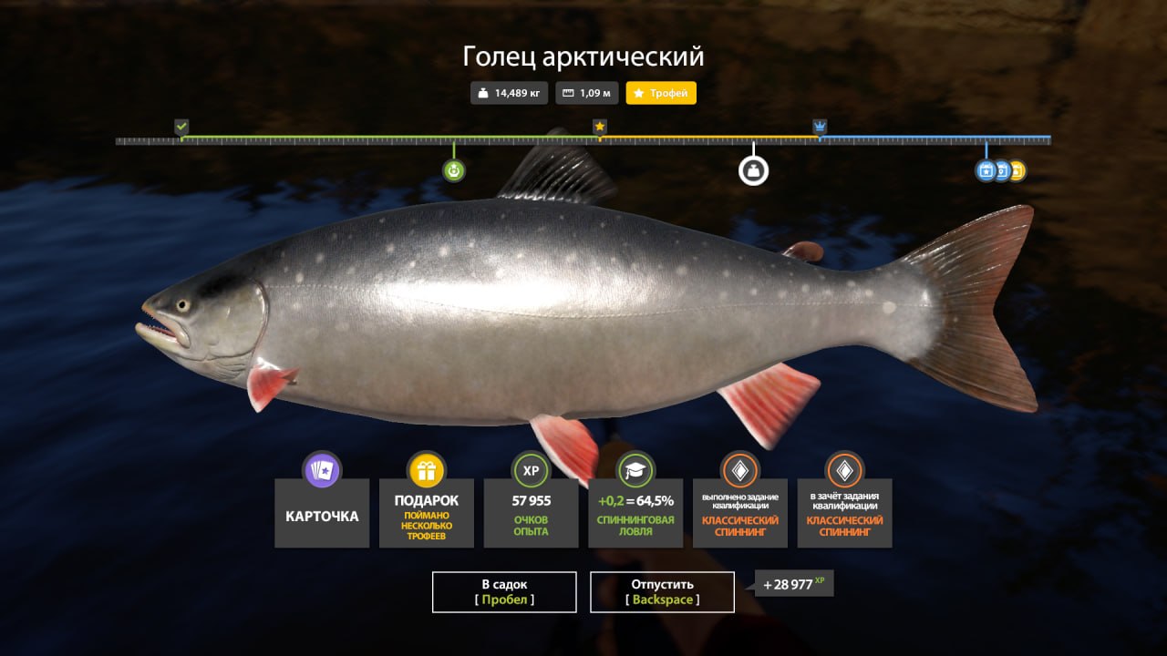 Фото точки