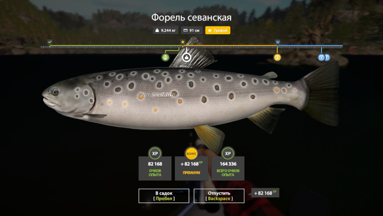 Фото точки