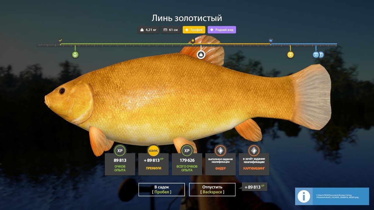Фото точки