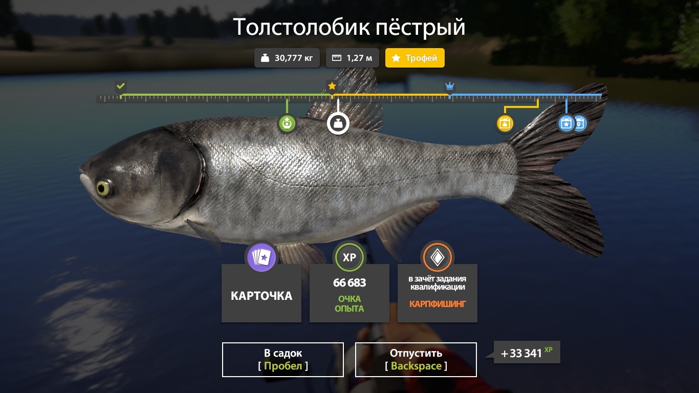 Фото точки