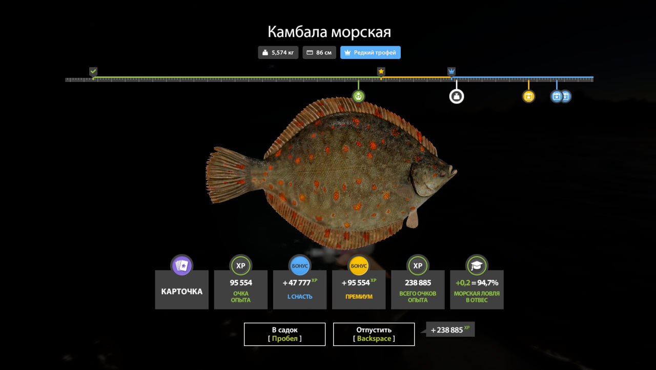 Фото точки