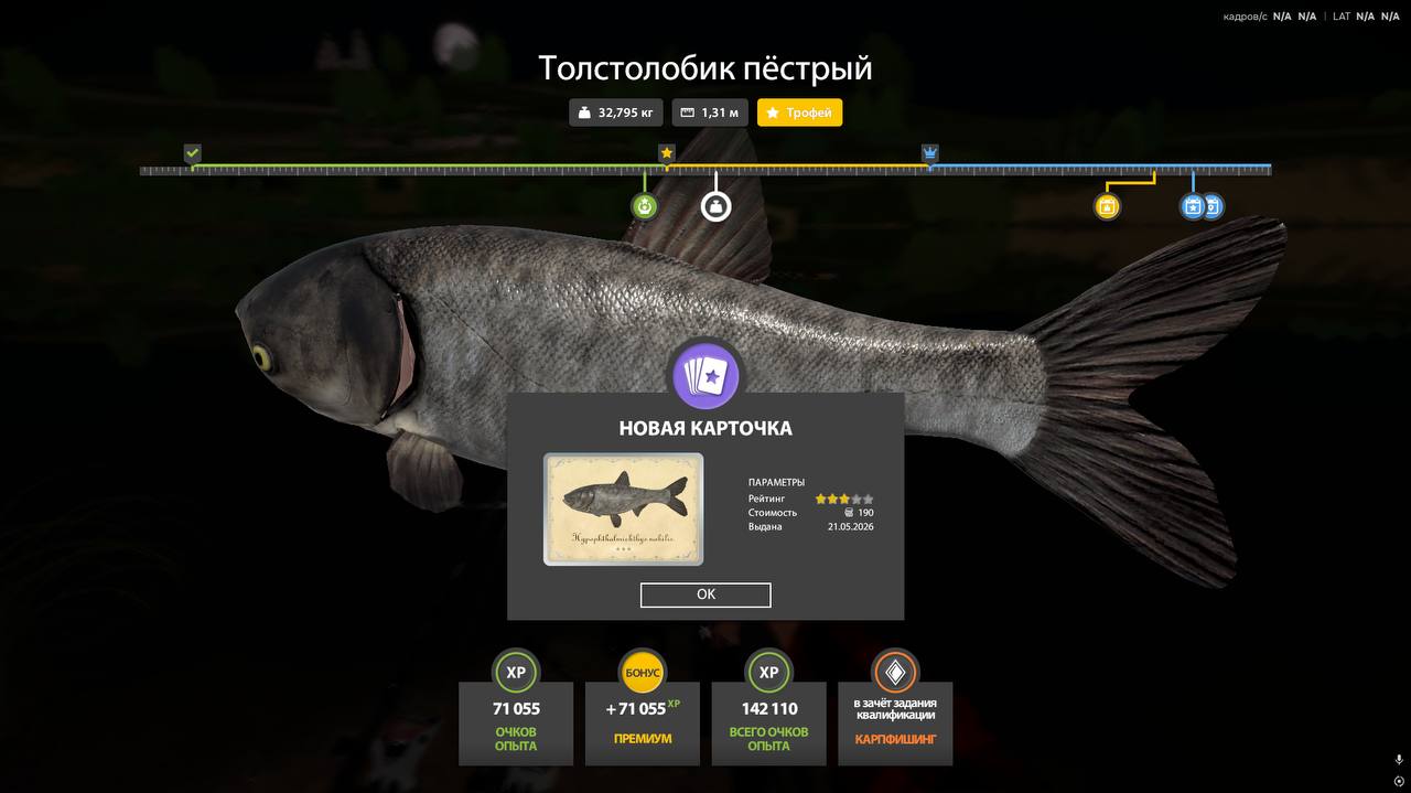 Фото точки