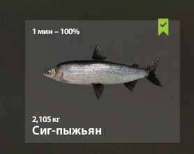 Фото точки