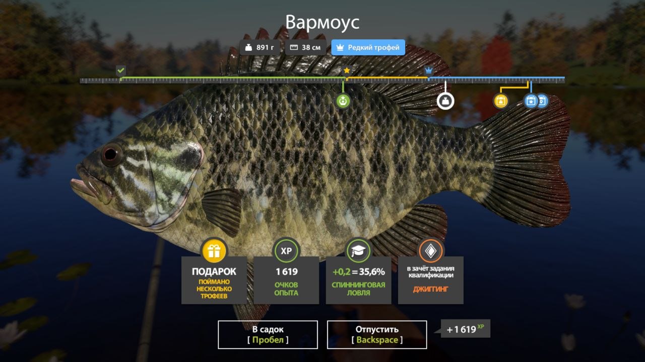 Фото точки