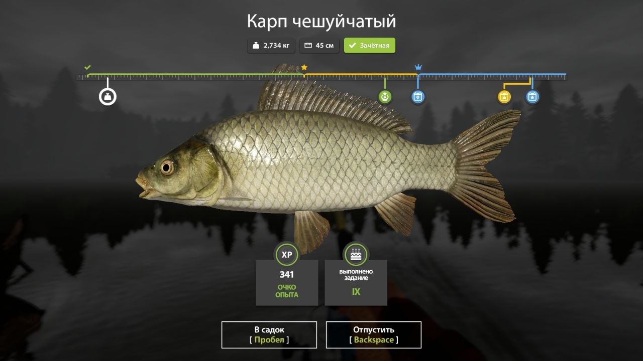 Фото точки