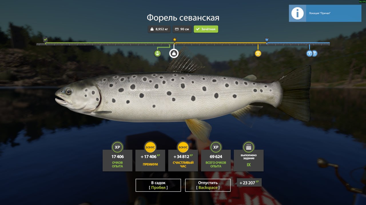 Фото точки