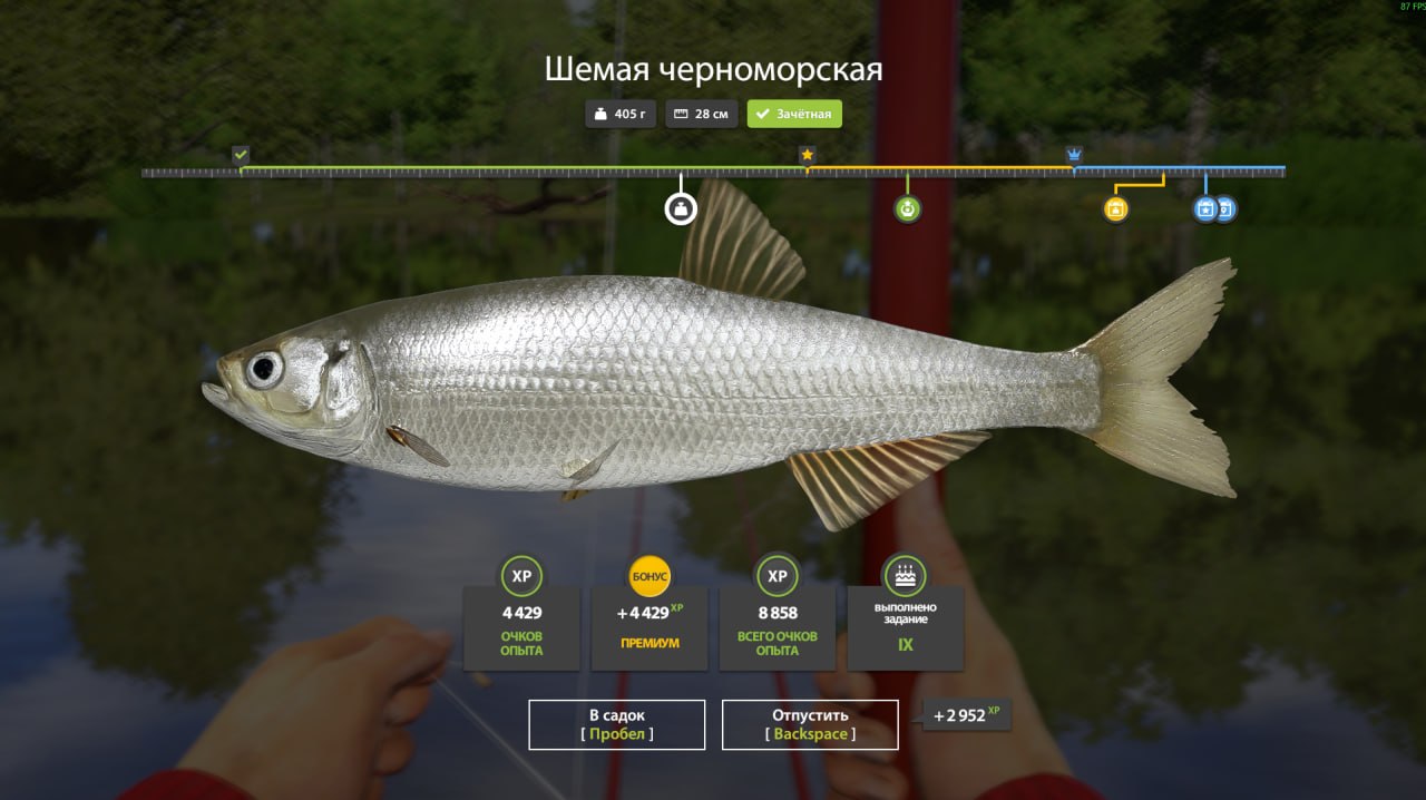 Фото точки