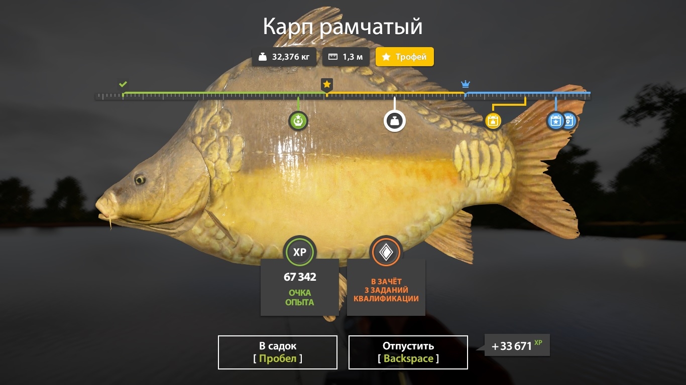 Фото точки