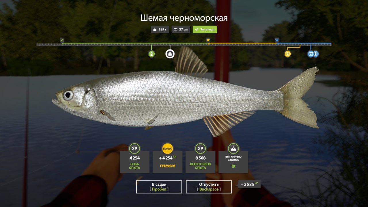 Фото точки