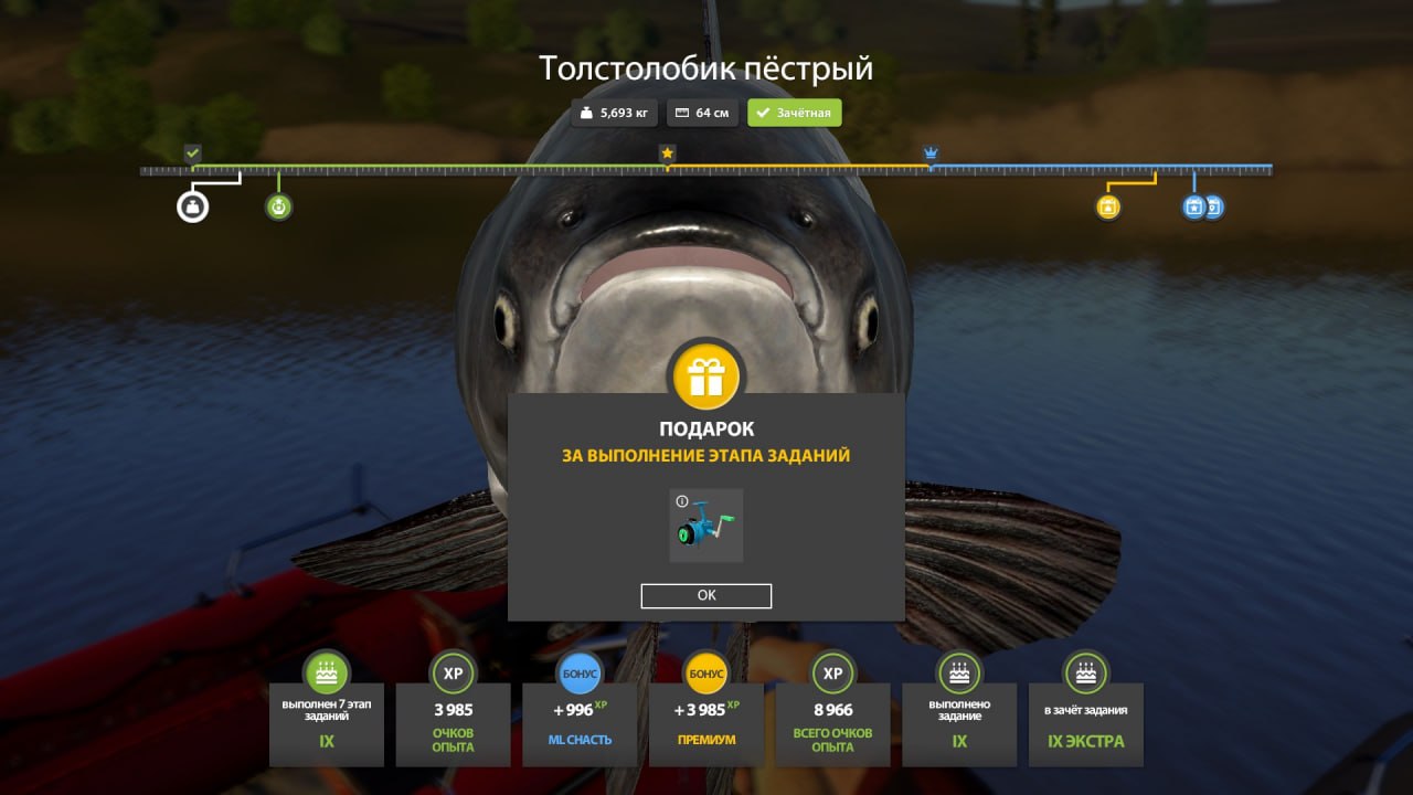 Фото точки