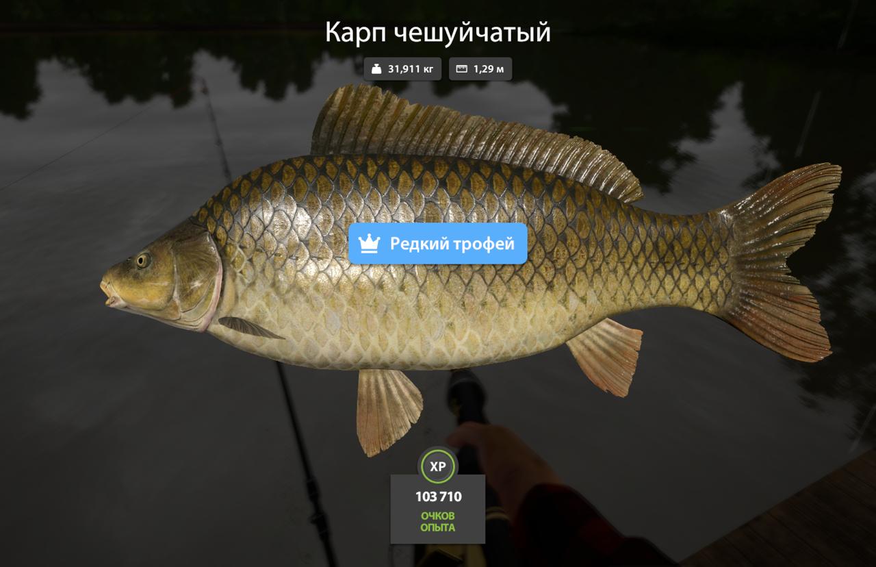 Фото точки