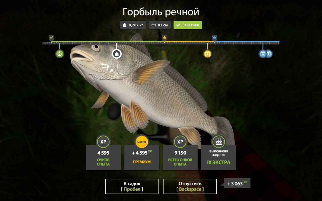 Фото точки