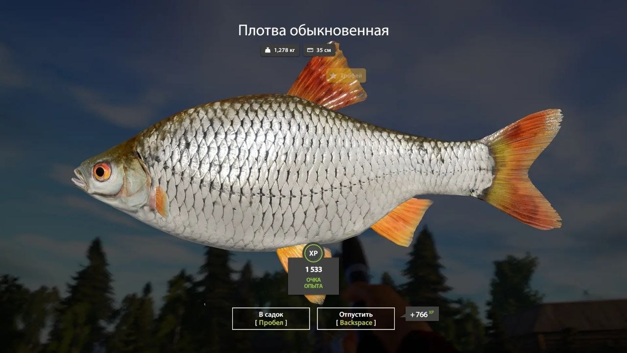 Фото точки