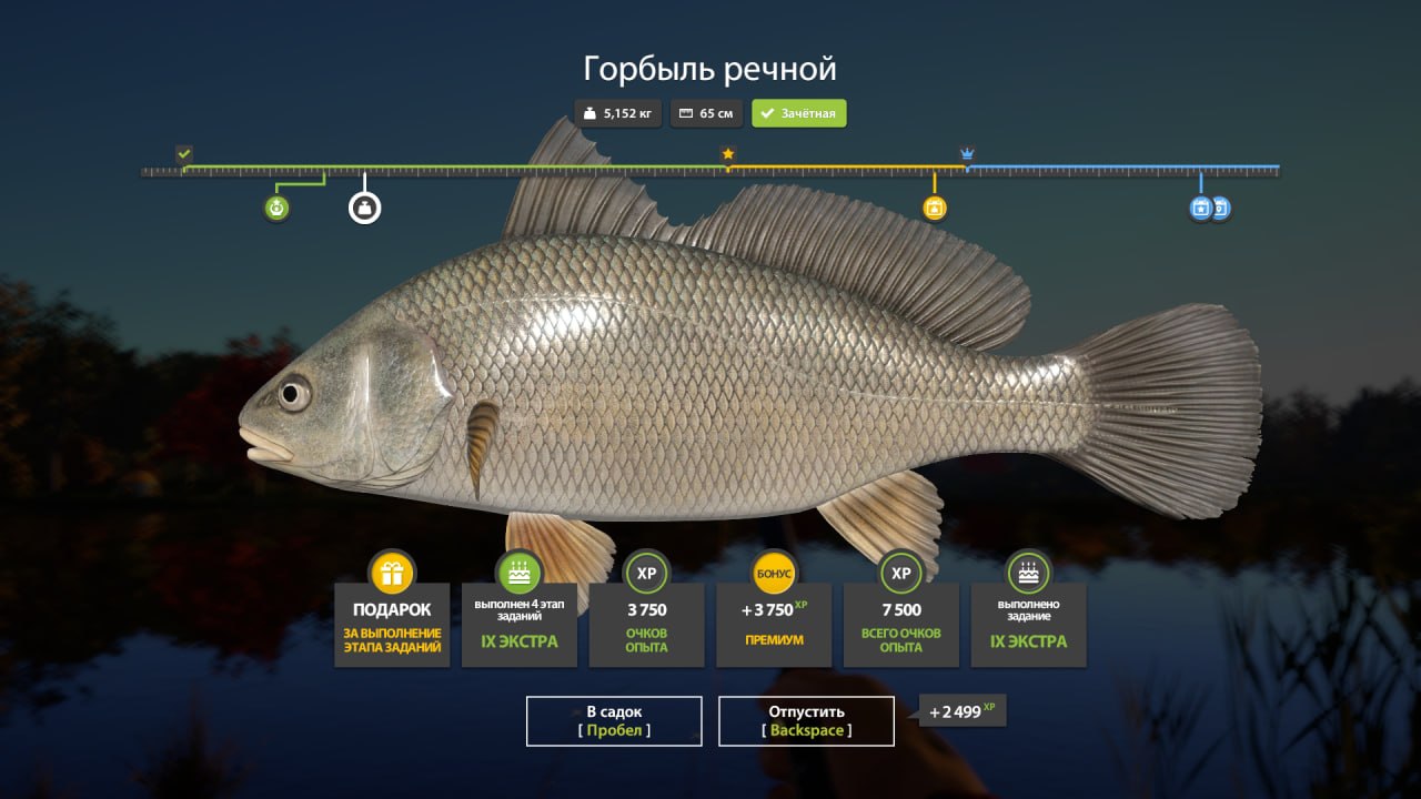 Фото точки