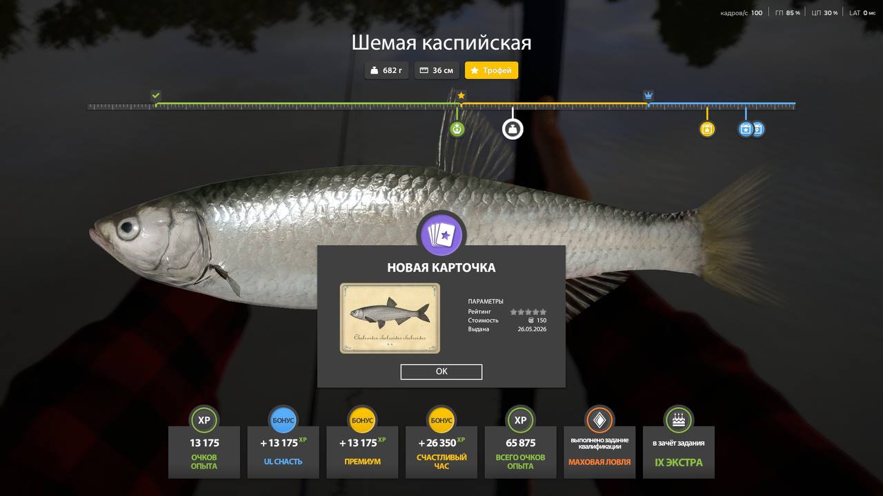 Фото точки