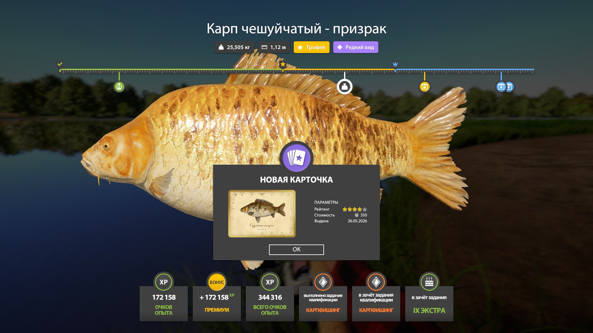 Фото точки