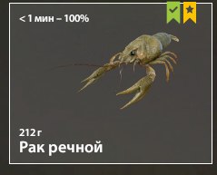 Фото точки