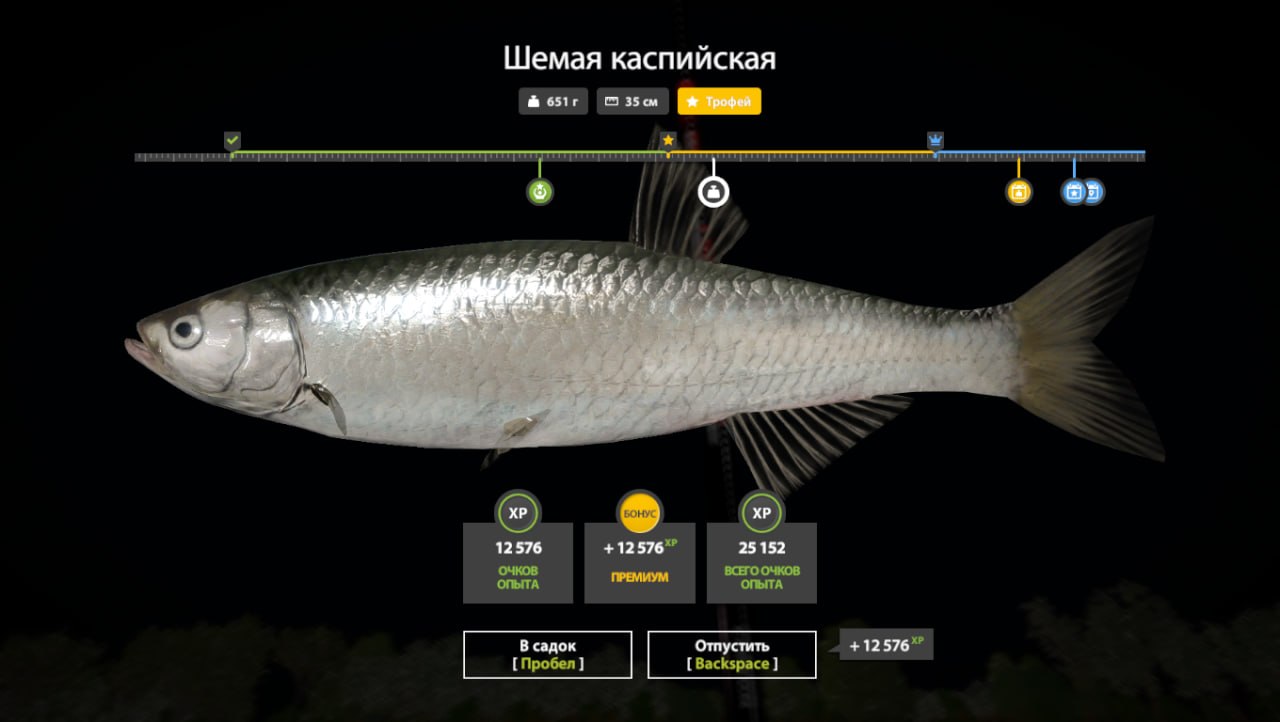 Фото точки