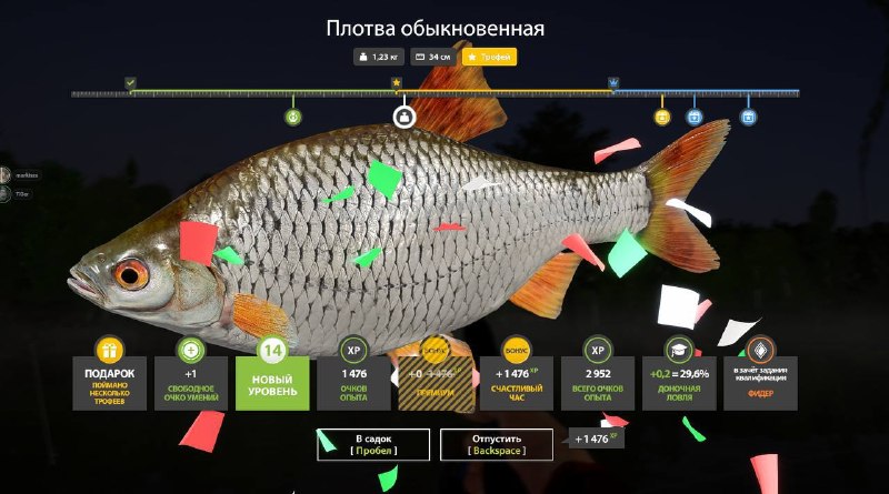 Фото точки