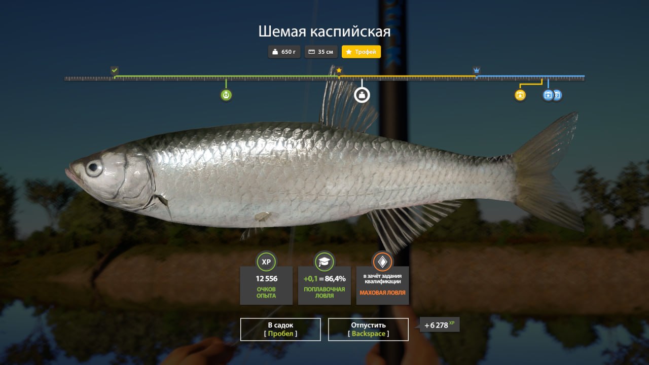 Фото точки