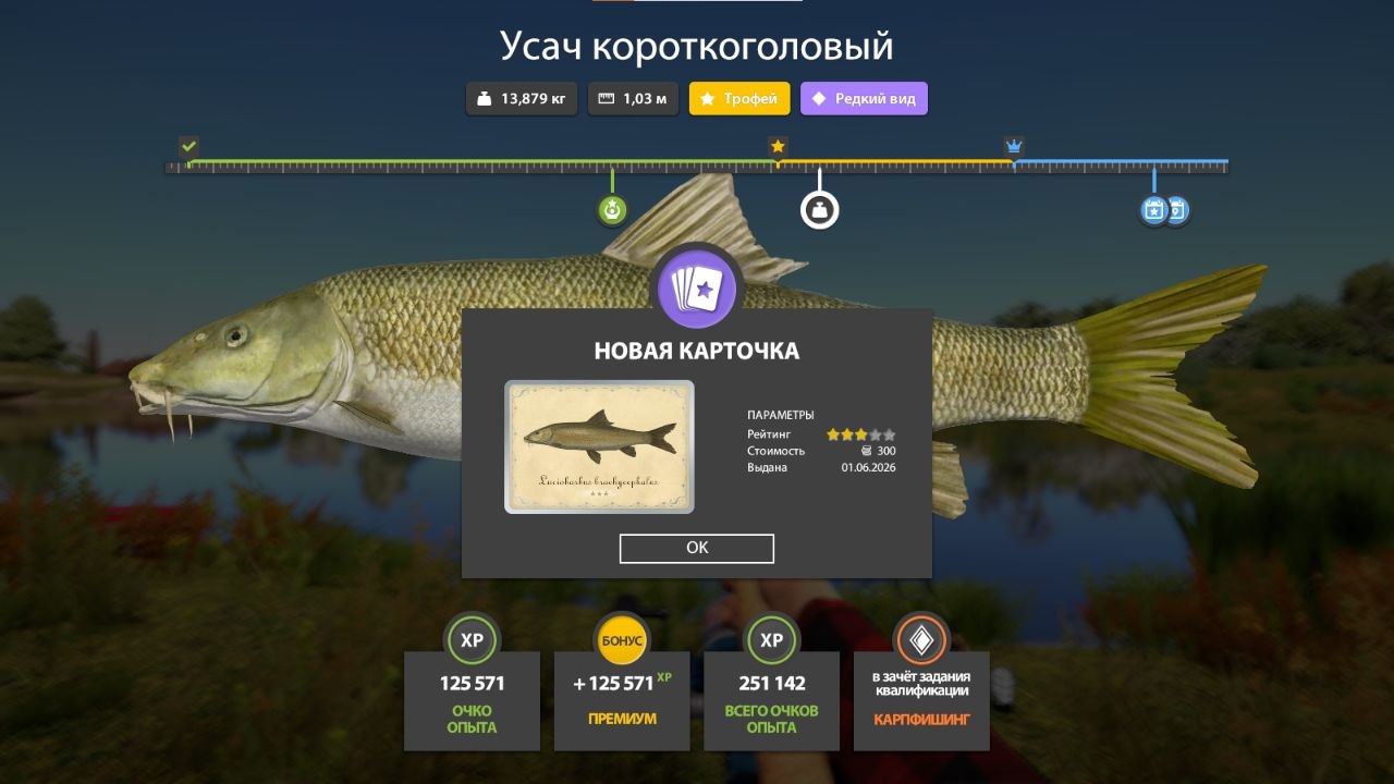 Фото точки