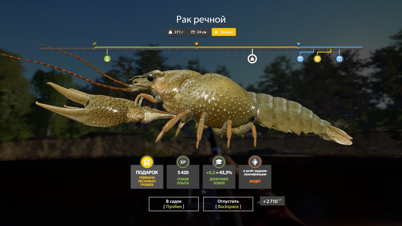 Улов (Ёрш, Рак речной) на #трофей_rf4map в RF4