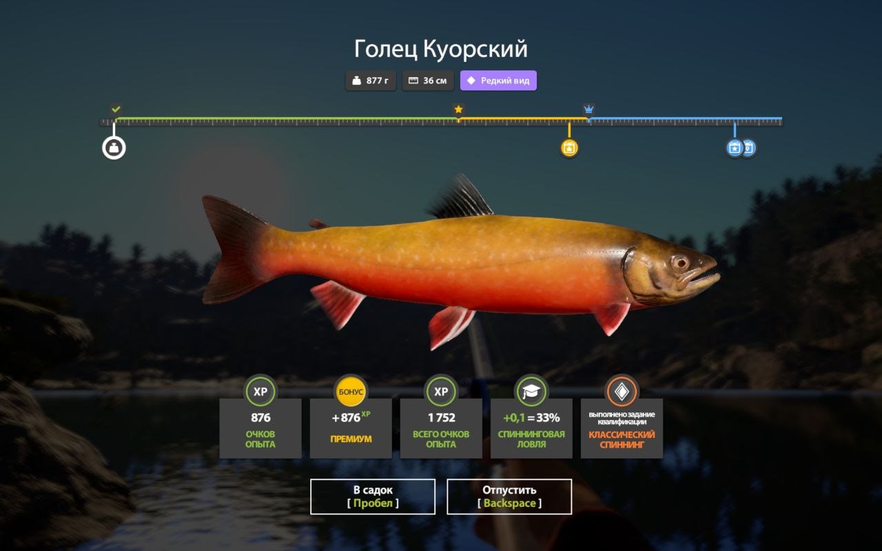 Улов (Разнорыбица) на #куори_rf4map в RF4