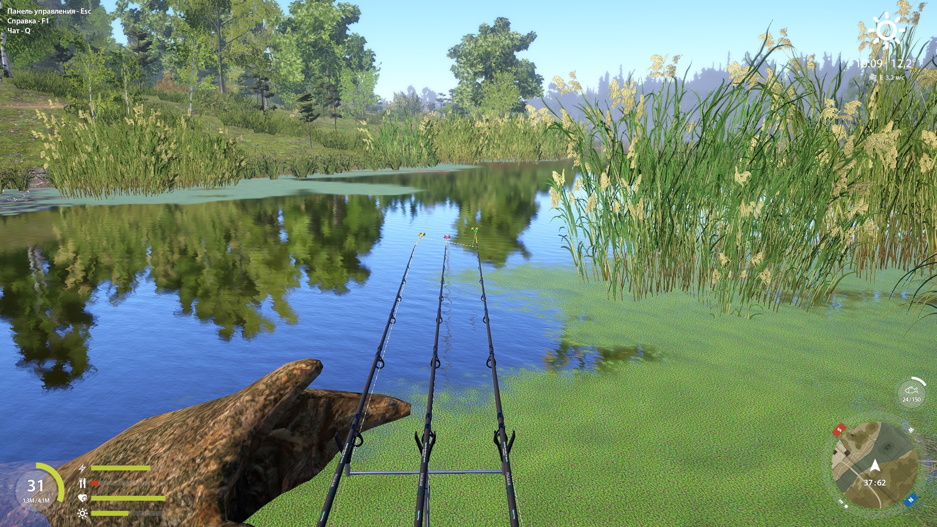 Улов (Карась серебряный, Линь) на #трофей_rf4map в RF4