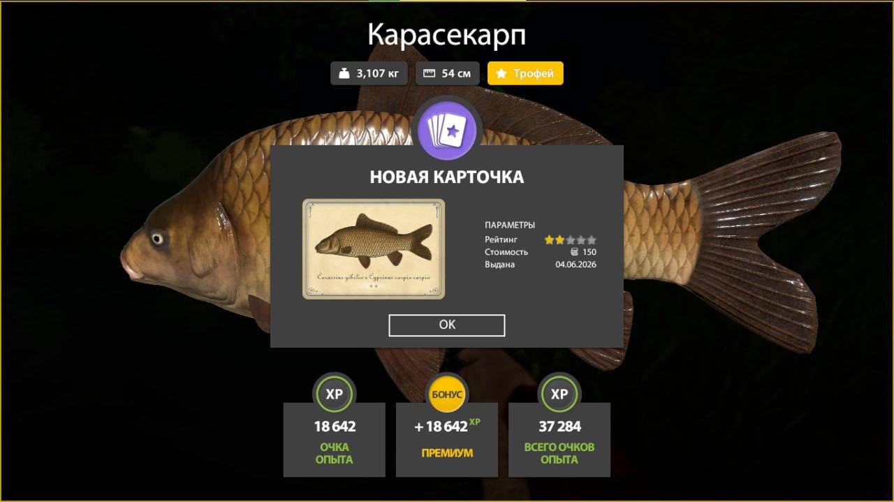 Фото точки