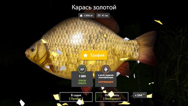 Улов (Амур белый, Карась золотой, Карась серебряный, Карп чешуйчатый) на #трофей_rf4map в RF4