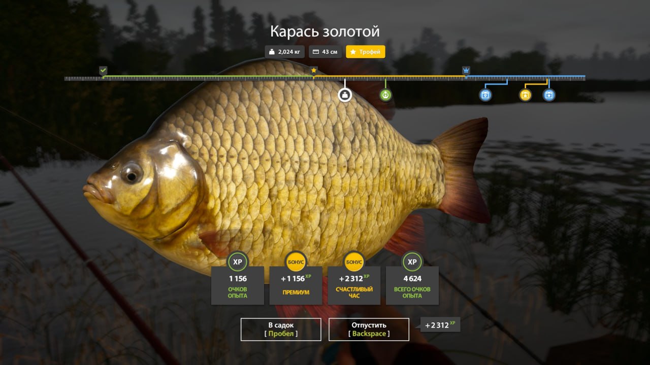 Улов (Карась золотой) на #трофей_rf4map в RF4