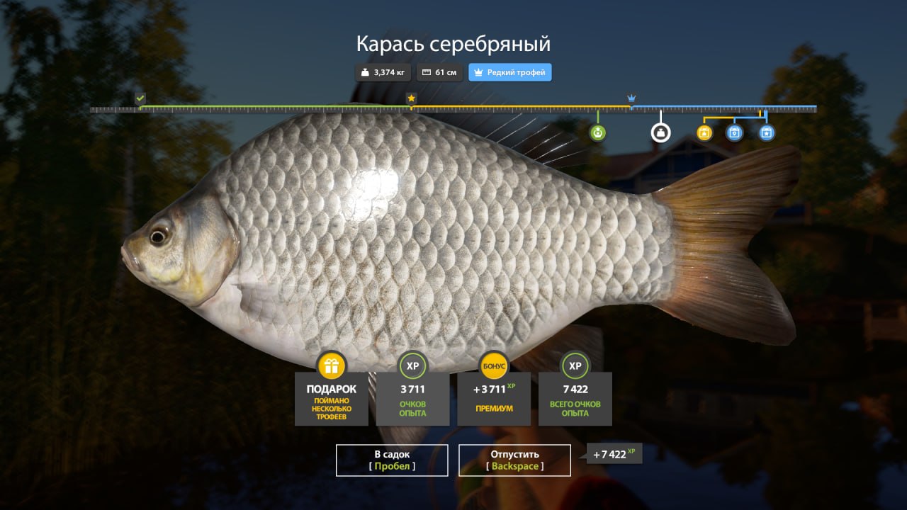 Улов (Карась серебряный) на #трофей_rf4map в RF4